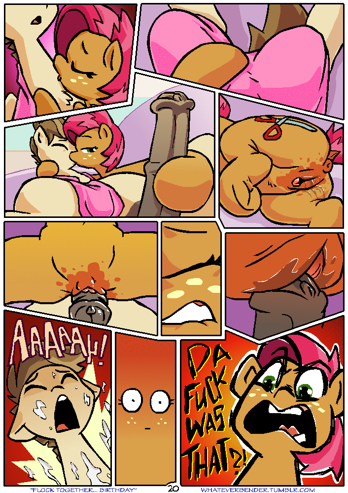 Flock Together...Birthday porn comics Anal Sex, Animated, Masturbation, Oral sex, Sex Toys